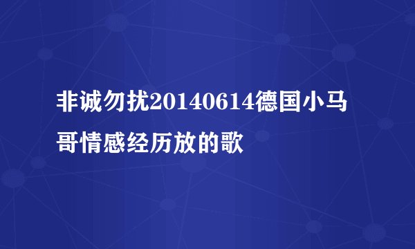 非诚勿扰20140614德国小马哥情感经历放的歌