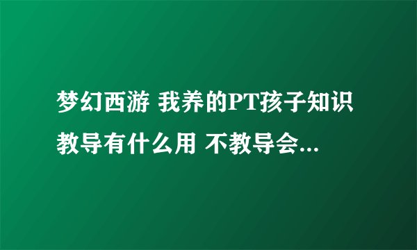 梦幻西游 我养的PT孩子知识教导有什么用 不教导会影响什么吗