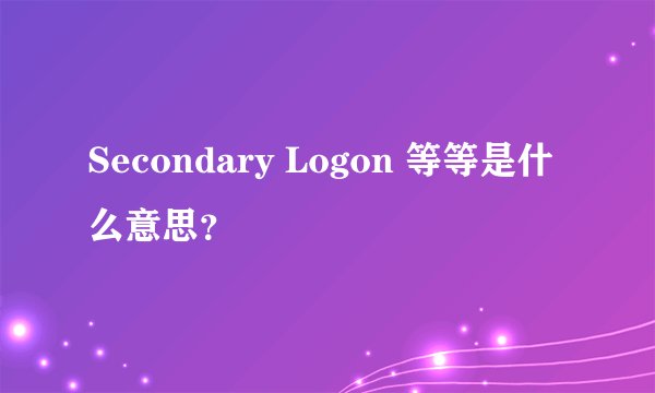 Secondary Logon 等等是什么意思？