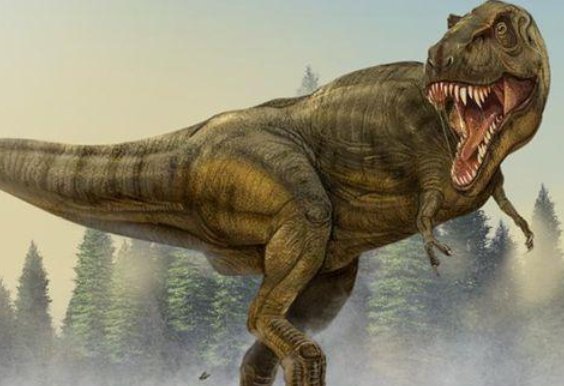 恐龙谜语有哪些？