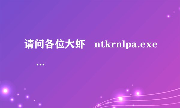 请问各位大虾   ntkrnlpa.exe    是什么程序?