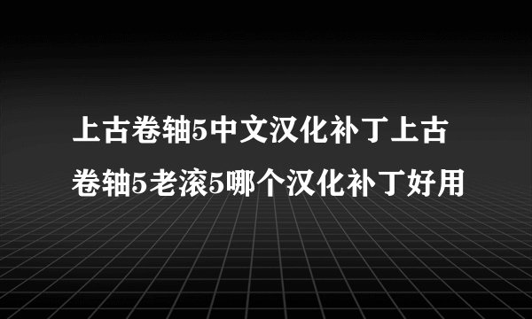 上古卷轴5中文汉化补丁上古卷轴5老滚5哪个汉化补丁好用