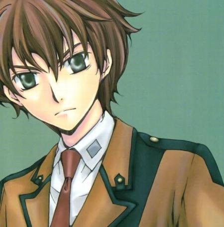 反攻的朱雀的介绍