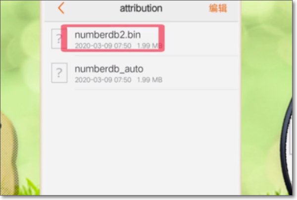 怎样用手机打开. bin文件