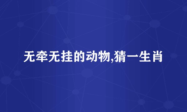 无牵无挂的动物,猜一生肖