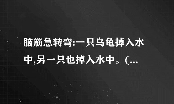 脑筋急转弯:一只乌龟掉入水中,另一只也掉入水中。(打一种花)