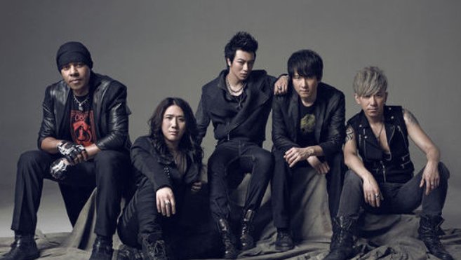 信乐团里有哪些成员