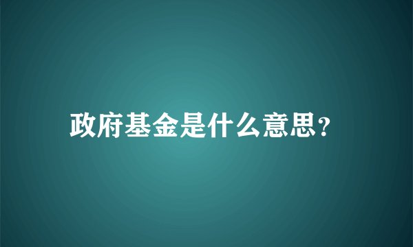政府基金是什么意思？