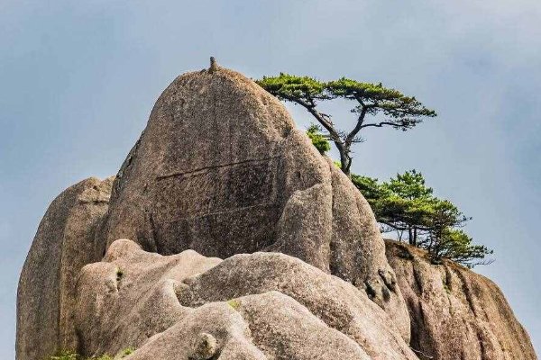 黄山四绝哪四绝指的是哪些