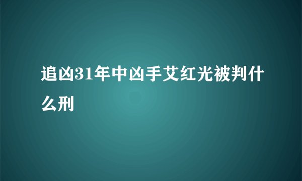 追凶31年中凶手艾红光被判什么刑