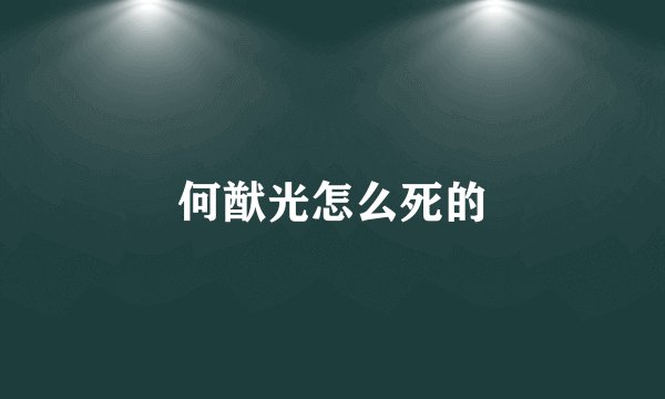 何猷光怎么死的