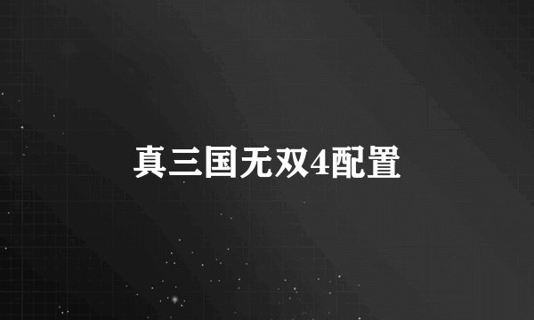 真三国无双4配置