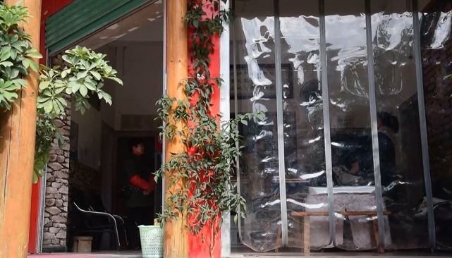 贵州一饭店门口水泥地面长出近3米高“辣椒树”,菜苗的生命力有多旺盛?