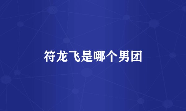 符龙飞是哪个男团