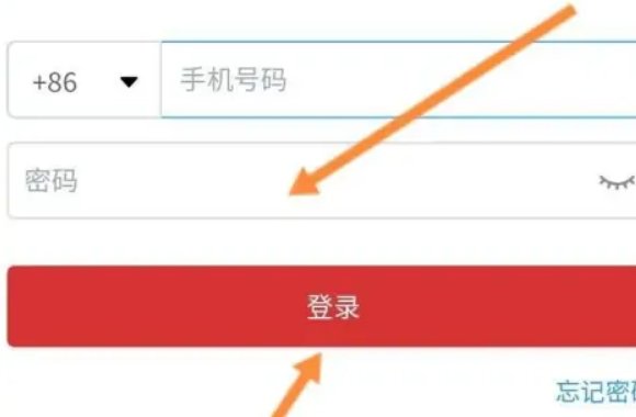怎么查询自己的个人信息？