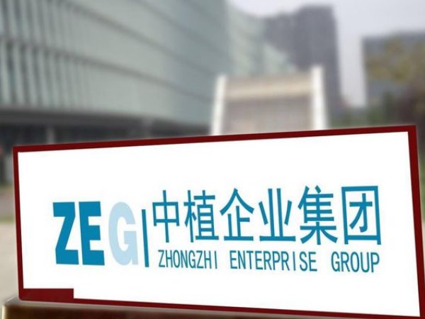 中植系是什么公司