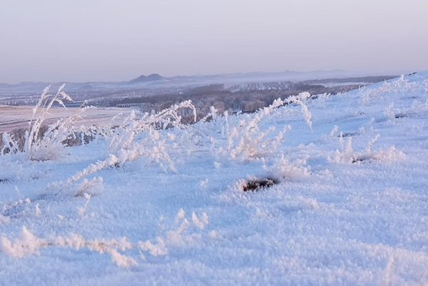 天下啥来云母粉