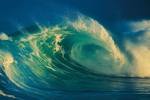 万能青年旅店的歌曲杀死那个石家庄人的歌词是什么意思?