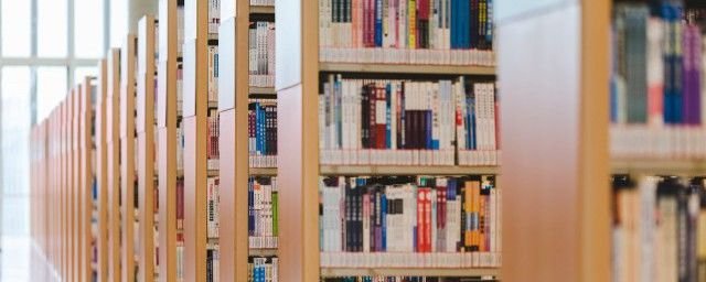 月亮不睡我不睡下一句是啥 我是秃头小宝贝是什么歌