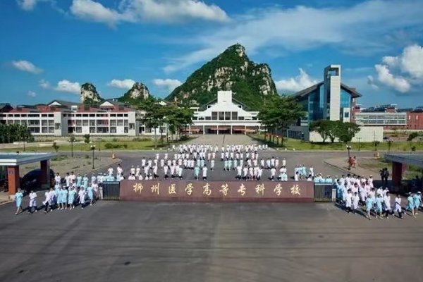 柳州医专今年录取分数线是多少啊？