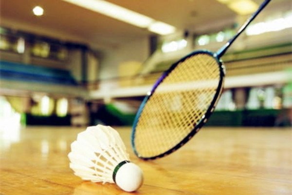 羽毛球上面有多少个羽毛？数量不对对打球有影响吗？