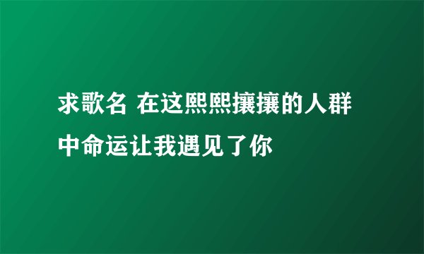 求歌名 在这熙熙攘攘的人群中命运让我遇见了你