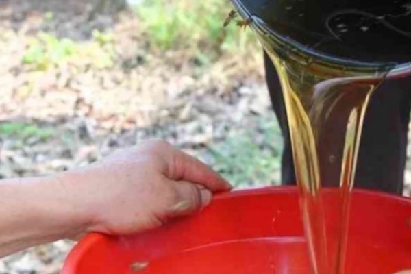 如何把蜂蜜从蜂盘中沥出来