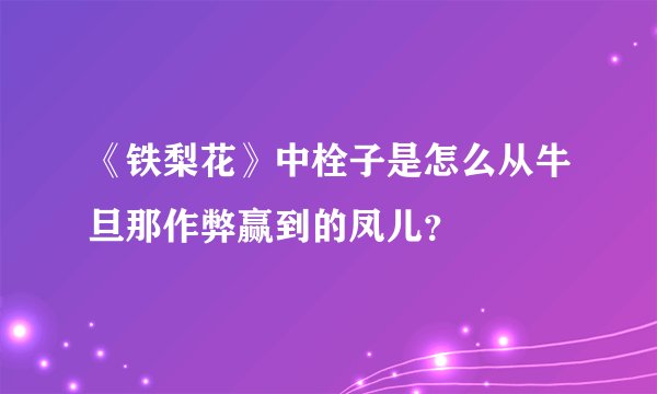 《铁梨花》中栓子是怎么从牛旦那作弊赢到的凤儿？