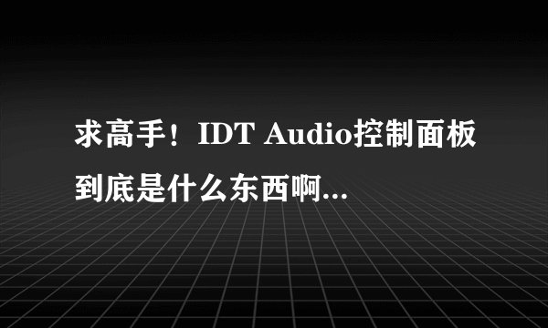 求高手！IDT Audio控制面板到底是什么东西啊，上网搜了好多关于他的信息，还是不明白