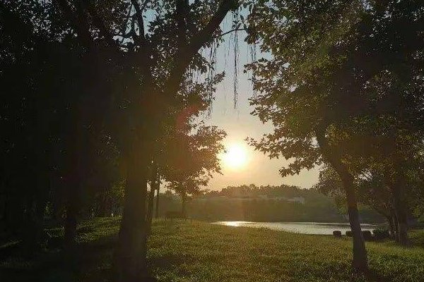 未曾开言先转腚是什么意思