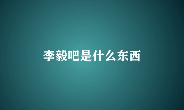 李毅吧是什么东西