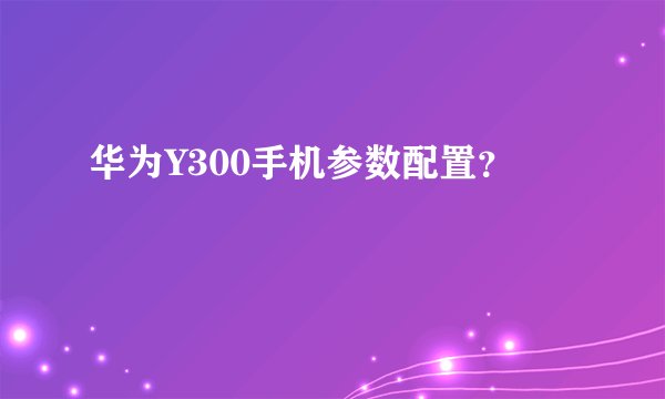 华为Y300手机参数配置？