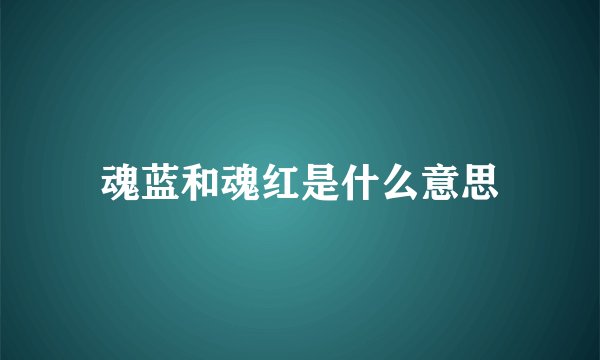魂蓝和魂红是什么意思