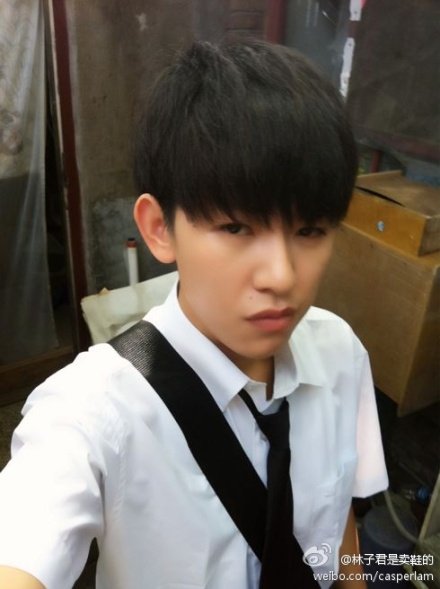 林子君的主要作品