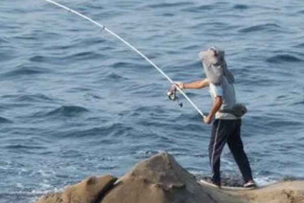 阿魏最适合钓什么鱼