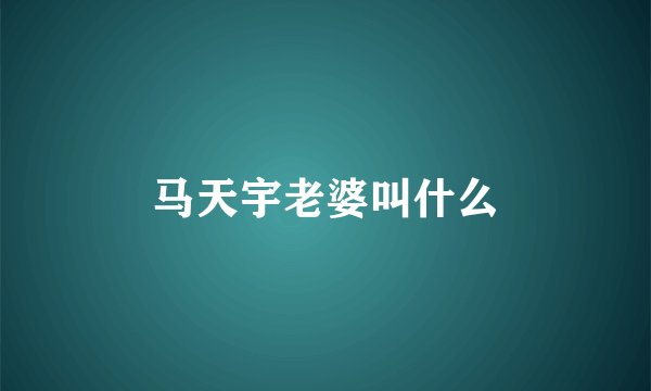 马天宇老婆叫什么