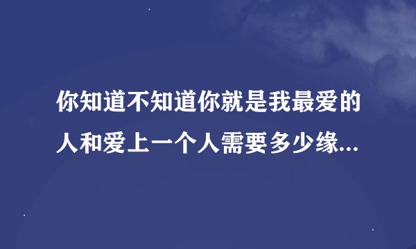 你知道不知道你就是我最爱的人和爱上一个人需要多少缘分是哪首歌里的歌词？