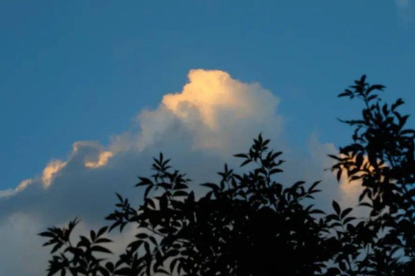 处暑时节, 民间有“七月八月看巧 云”之说,“巧云”是指哪种云