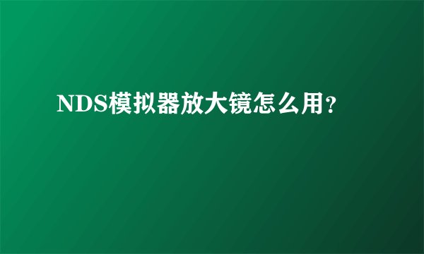 NDS模拟器放大镜怎么用？