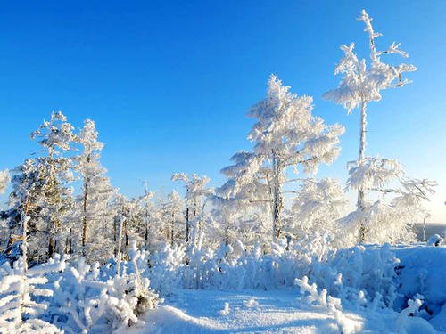 呼伦贝尔冻冒烟了!为何这个地方气温能到零下四十多度?