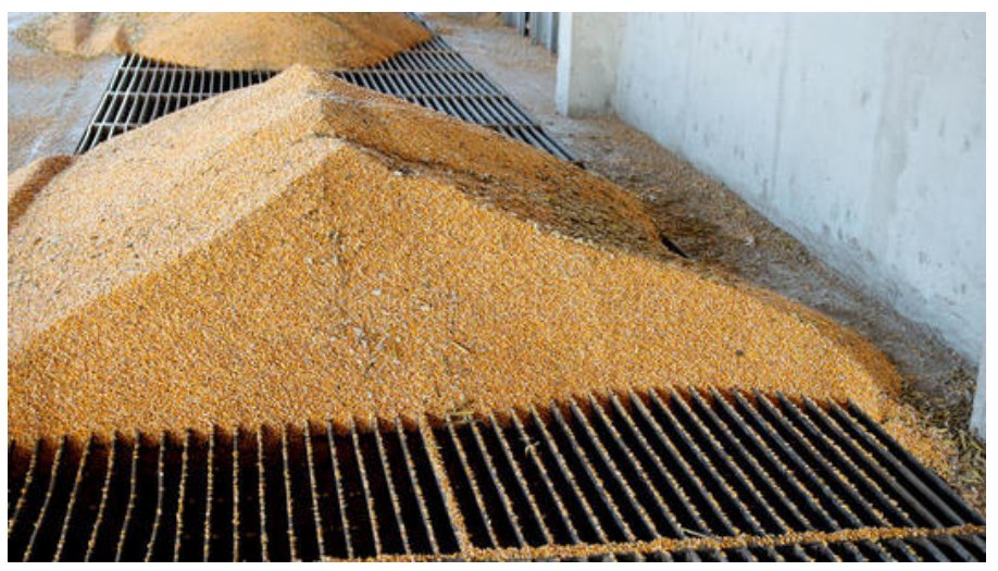 某公司回应粮食出现质量问题，这是怎么回事？