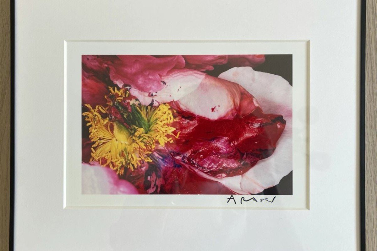 荒木经惟的摄影作品