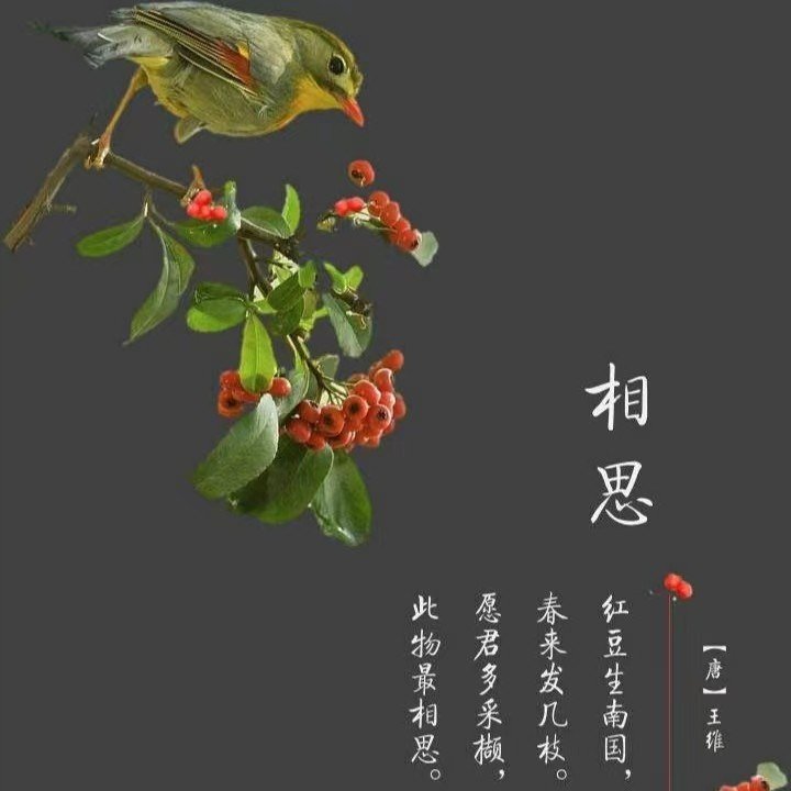 王维诗里啥都有什么梗