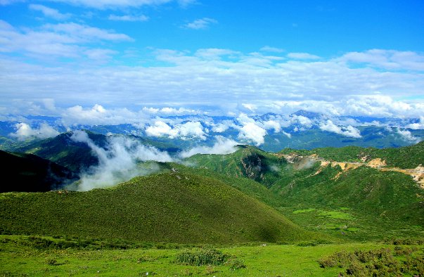 我见青山多妩媚全诗解释