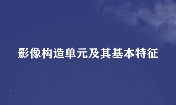 影像构造单元及其基本特征