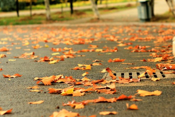 忽有故人心上过，回首山河已是秋是什么意思？