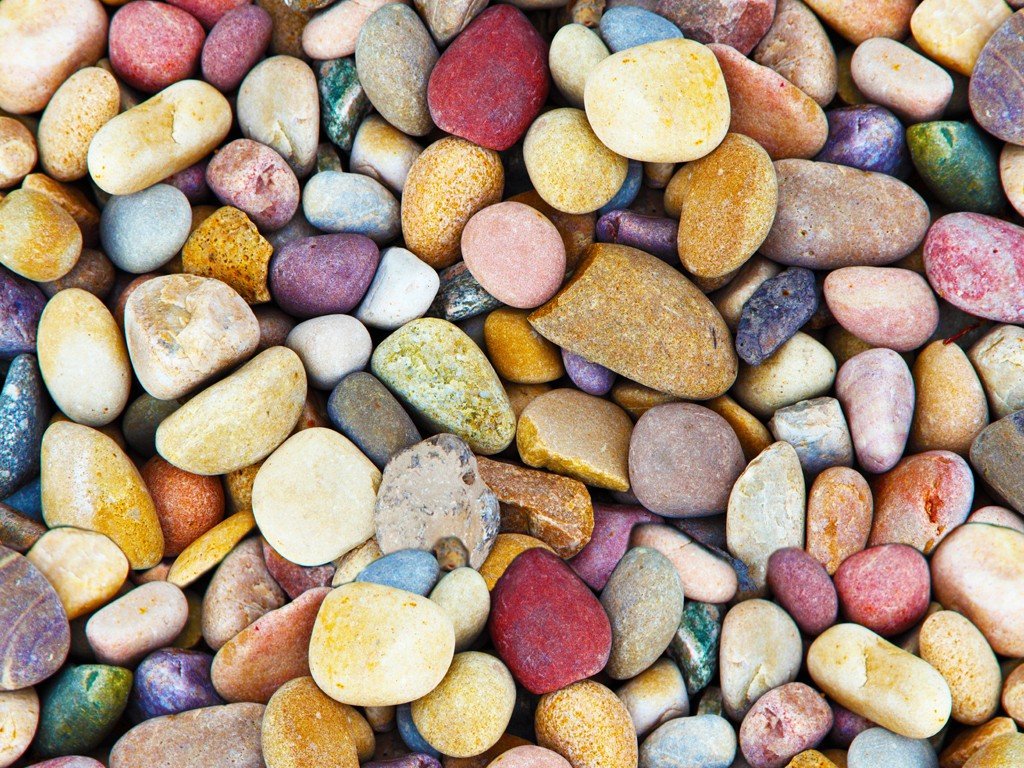 卵的拼音和组词组