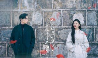 司藤讲了什么事 电视剧司藤讲了什么