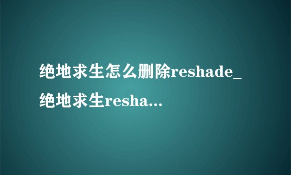 绝地求生怎么删除reshade_绝地求生reshade删除方法