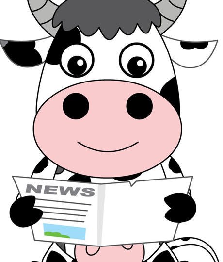 毕华德的人物评价